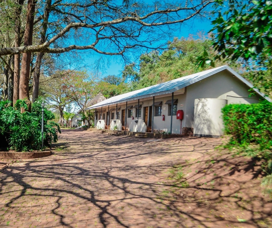 Family Wildlife Suite 5