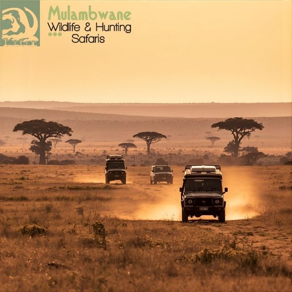 Professional Heritage