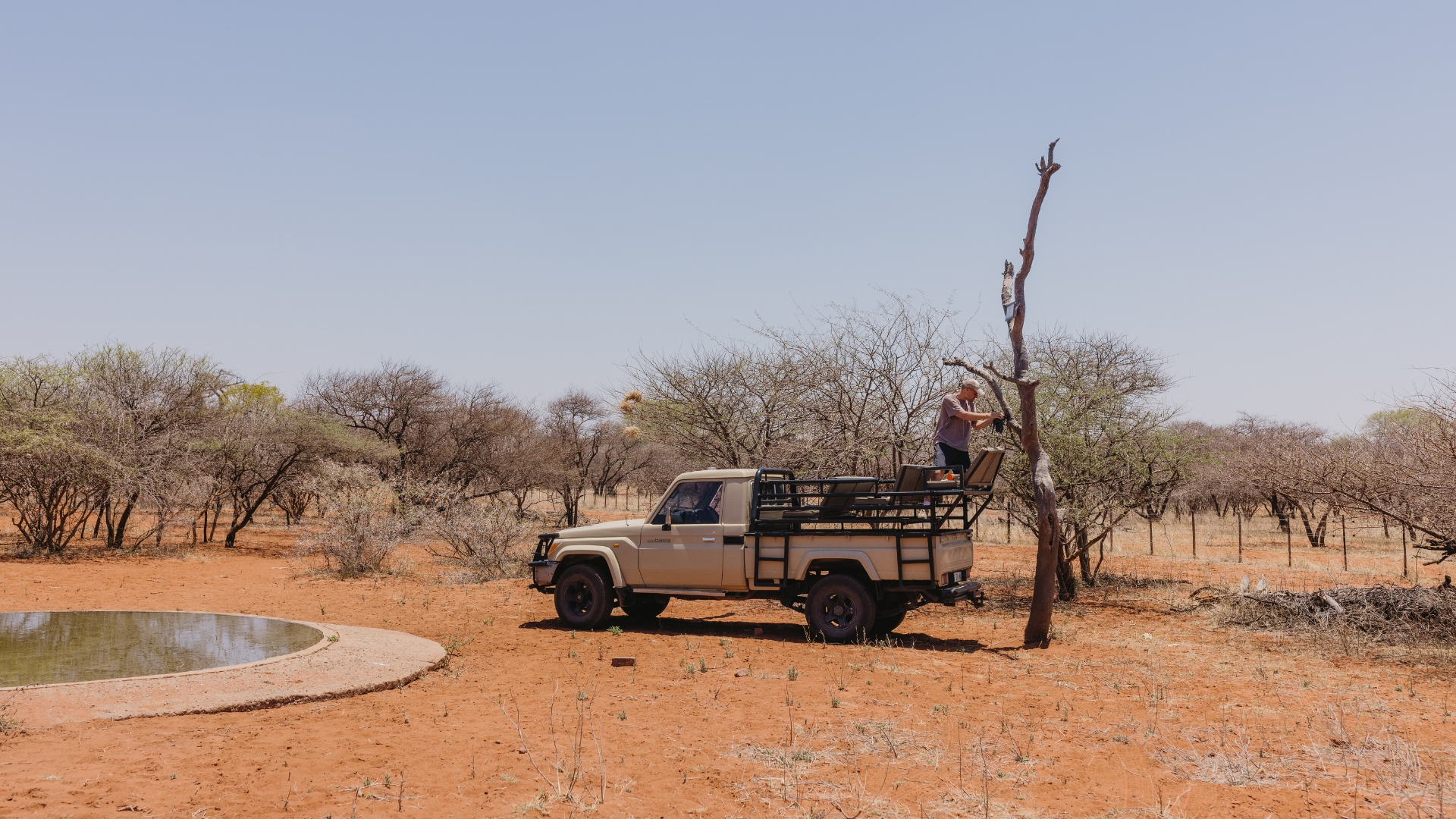 Hunting Adventure Background