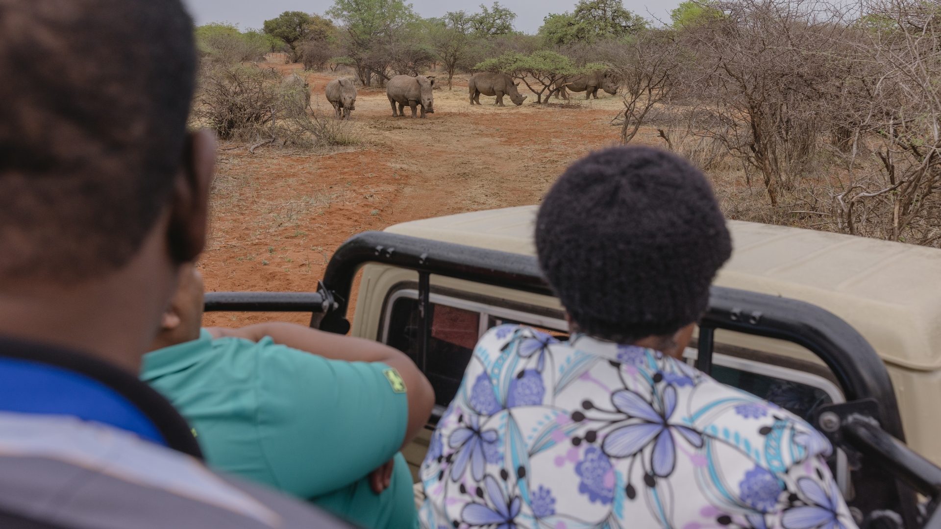 Safari Booking Info Background