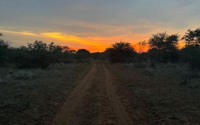 Spoor Reading Mastery